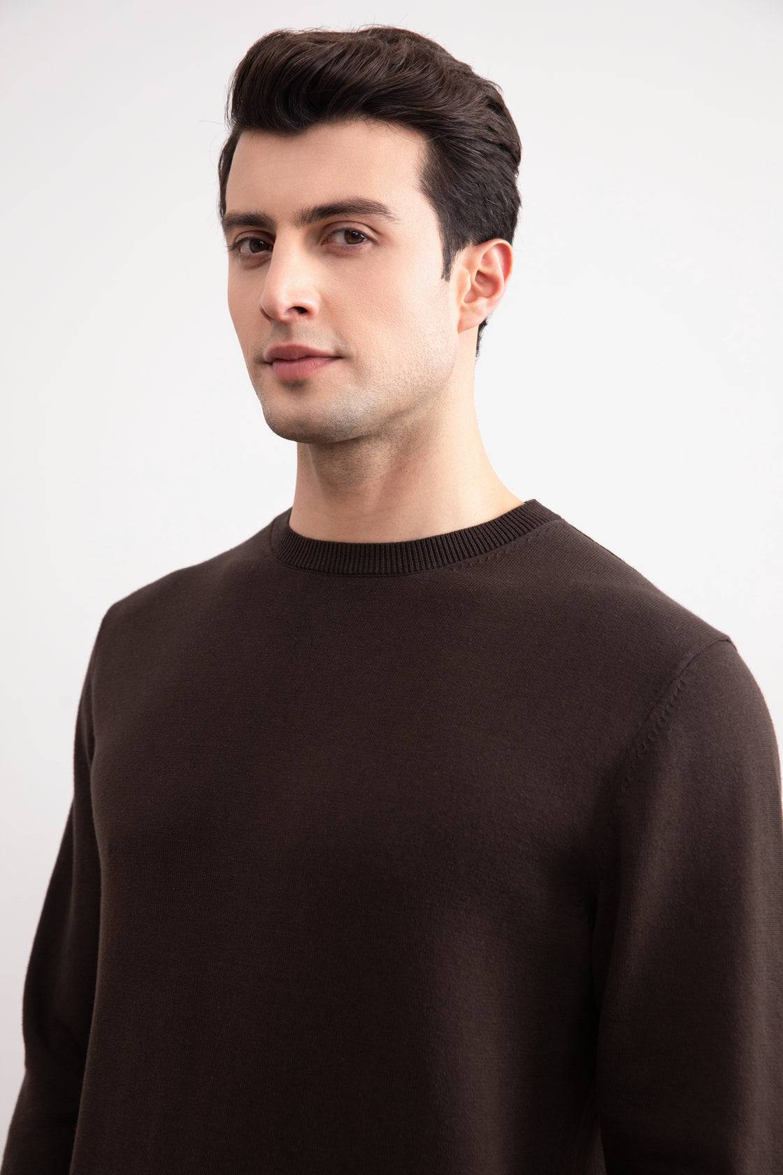 Dark Brown Crewneck Sweater - Tour&Tate