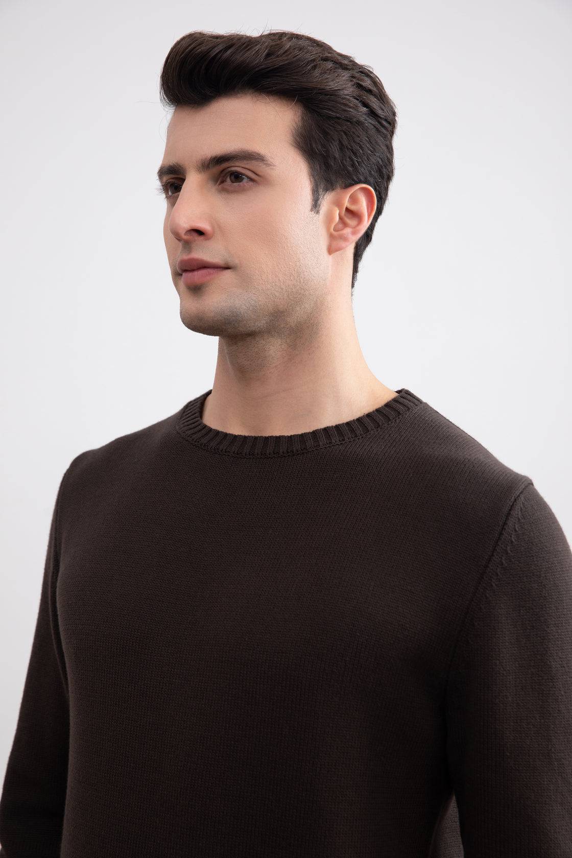 Dark Brown Cham Crewneck Sweater - Tour&Tate